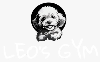 WhatsApp Image 2026-03-25 at 8.58.48 PM